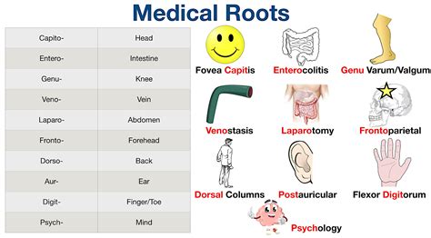medical terms and meanings.